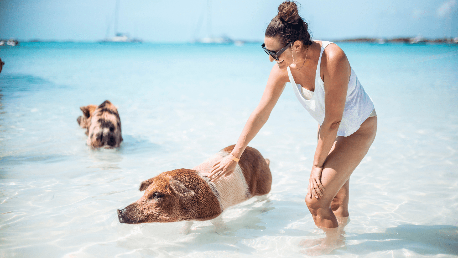 woman-in-bahamas-swimming-with-pigs-1920x1080-min.png